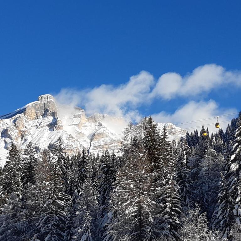 Raisc - La tua casa in Val Badia - Apartment mit 1 Schlafzimmer - 17