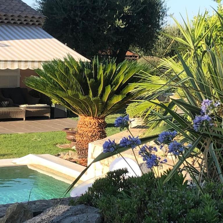 Villa Ty Laouen- villa confort avec piscine et jacuzzi- Parc -Opio-Valbonne - Villa - 18