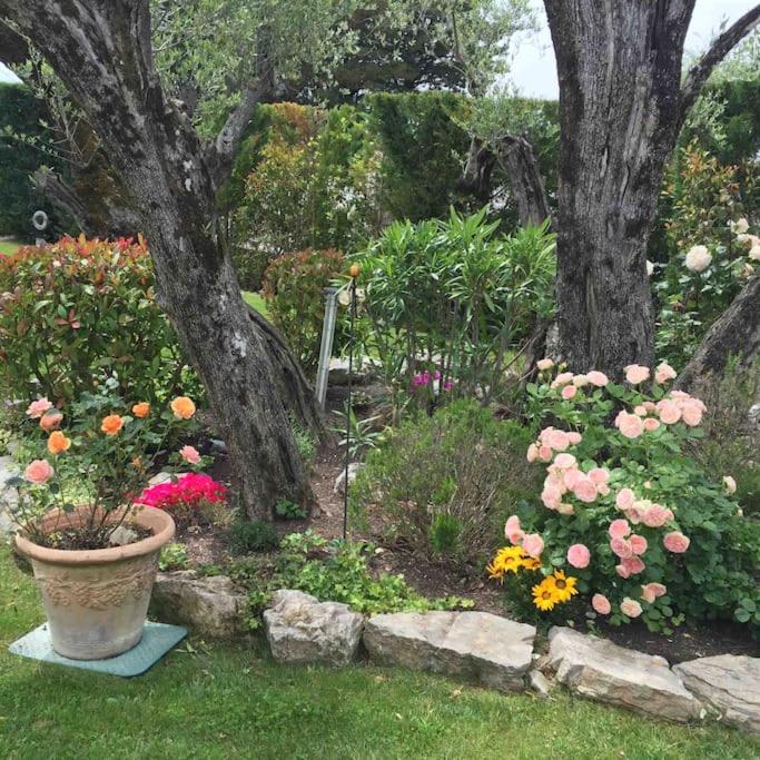 Villa Ty Laouen- villa confort avec piscine et jacuzzi- Parc -Opio-Valbonne - Villa - 19