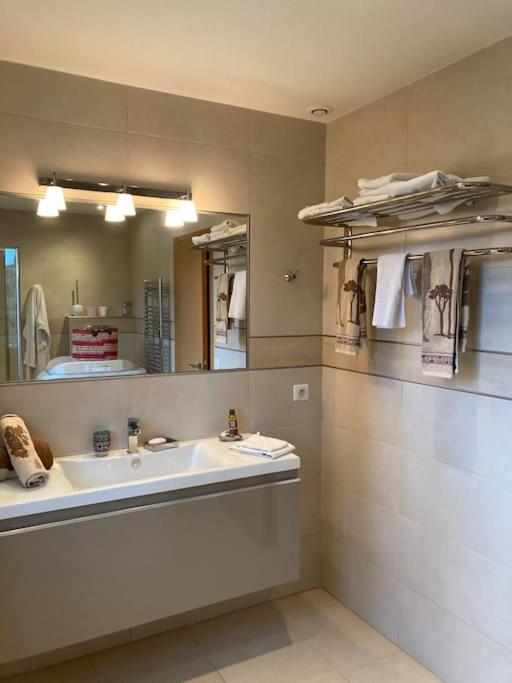 Villa Ty Laouen- villa confort avec piscine et jacuzzi- Parc -Opio-Valbonne - Villa - 20