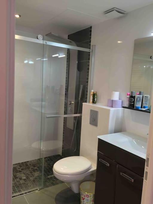 Villa Ty Laouen- villa confort avec piscine et jacuzzi- Parc -Opio-Valbonne - Villa - 48