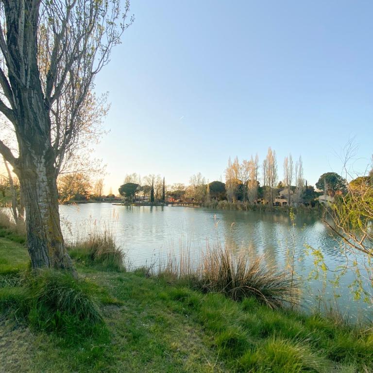 Joli Appartement 27m2 Terre d'Ocre en village vacances en Camargue - Appartamento con 1 Camera da Letto - 9
