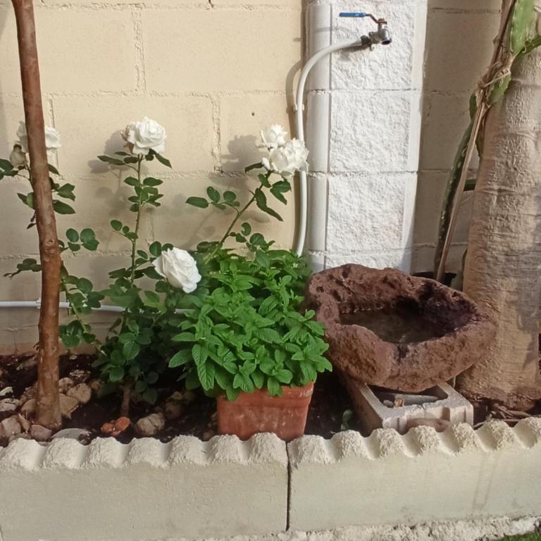 El Rincón de Triana - Apartamento de 3 dormitorios - 2