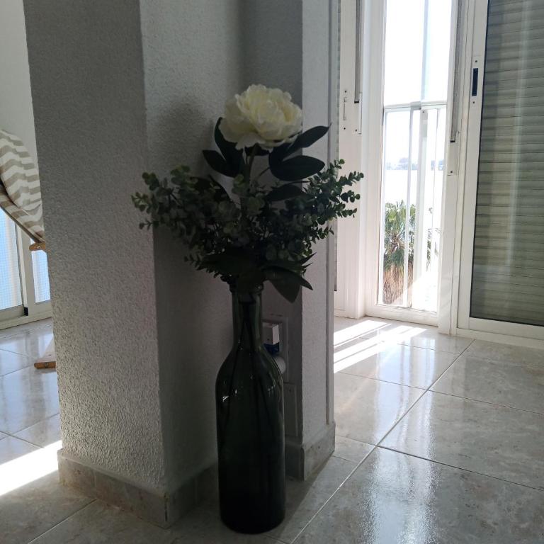 Apartamento Cabo Azul Playa Campello - Apartamento de 2 dormitorios - 42