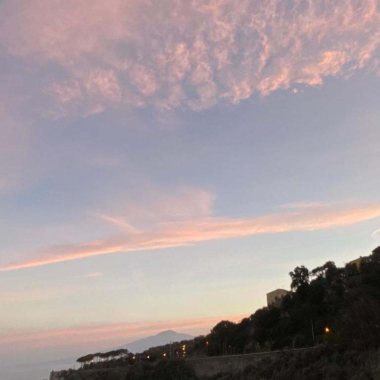 Olive - Cottage moderno tra gli ulivi di Sorrento - Chalet con 1 Camera da Letto - 18