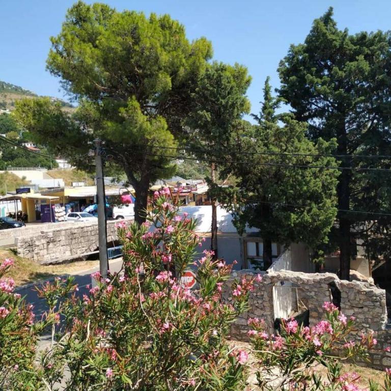 Apartman Nadja - Sutomore - Apartman sa 1 Spavaćom Sobom - 8