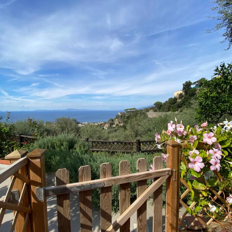 Olive - Cottage moderno tra gli ulivi di Sorrento - Chalet con 1 Camera da Letto - 3