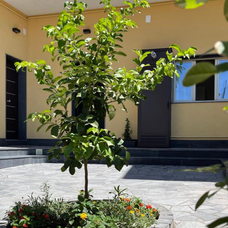 “I Niputeddi” - Casa Vacanze - 57