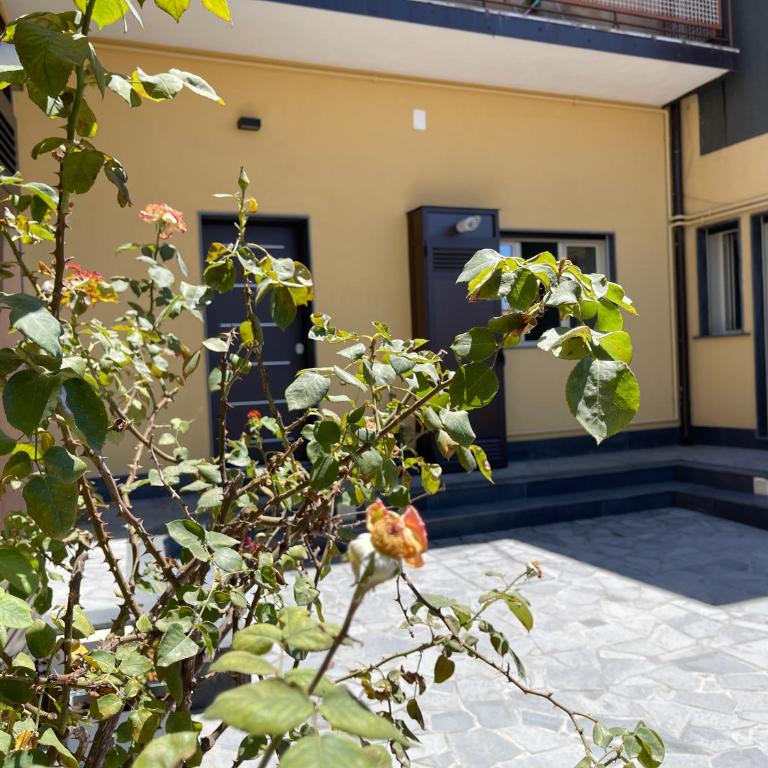 “I Niputeddi” - Casa Vacanze - 66