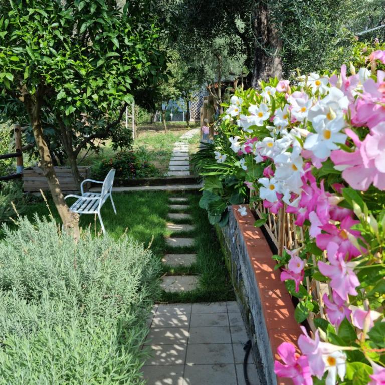 Olive - Cottage moderno tra gli ulivi di Sorrento - Chalet con 1 Camera da Letto - 10