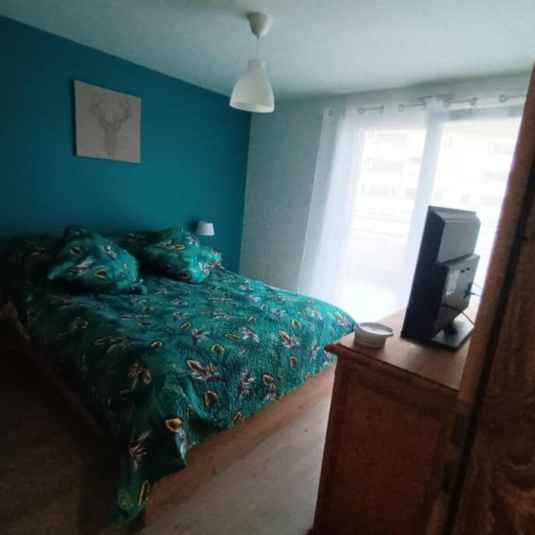Les rives de la jamagne - Appartement 1 Chambre - 29
