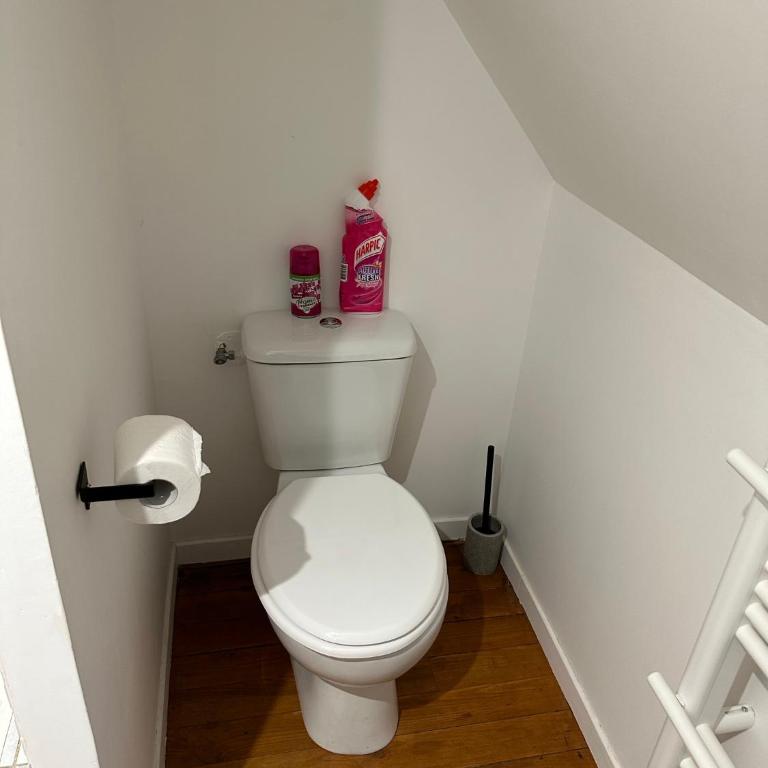 Superbe appartement proche centre ville, thermes - Apartment mit 1 Schlafzimmer - 6