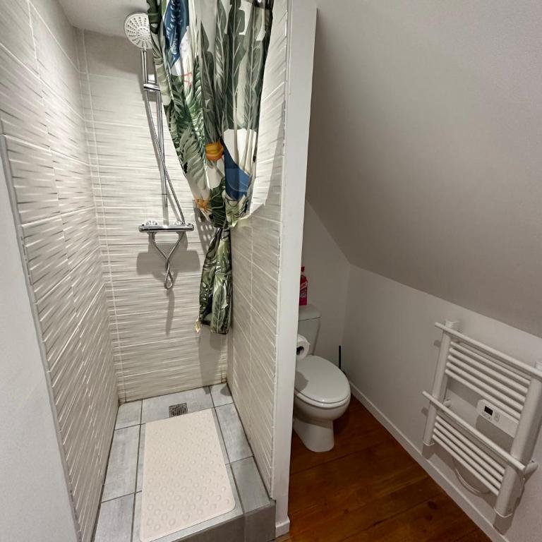 Superbe appartement proche centre ville, thermes - Apartment mit 1 Schlafzimmer - 8
