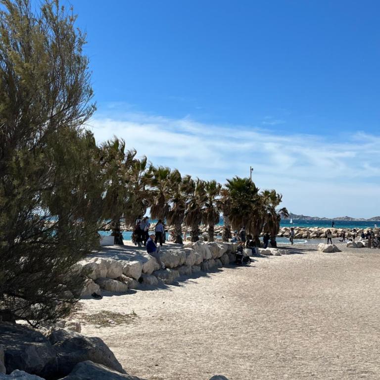 Entre Plages et Jardins - Appartement 1 Chambre - 13