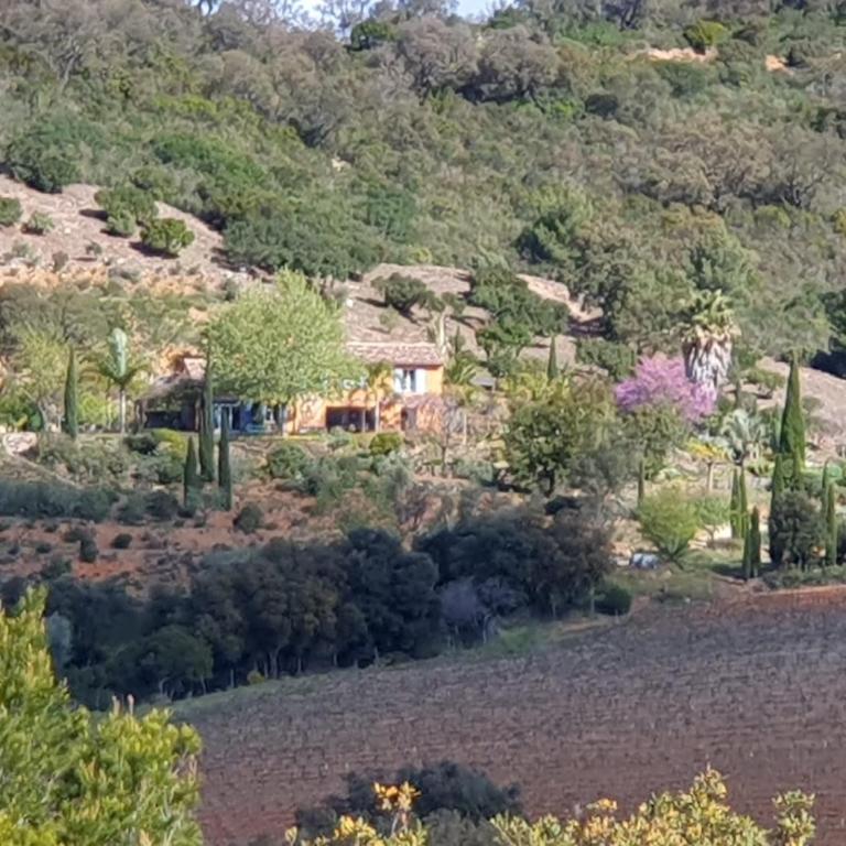 House With Garden And Sea View - Ferienhaus - 50
