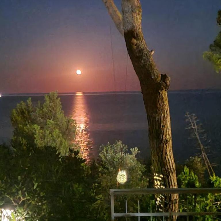 Villa Cokkinis fronte mare con ampio giardino - Villa con 3 Camere da Letto - 55