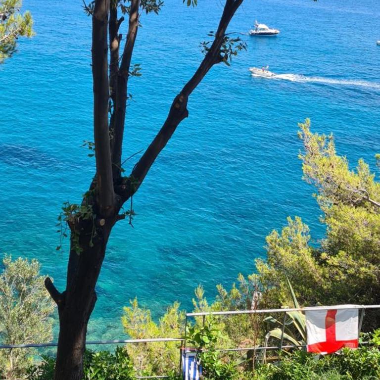 Villa Cokkinis fronte mare con ampio giardino - Villa con 3 Camere da Letto - 60