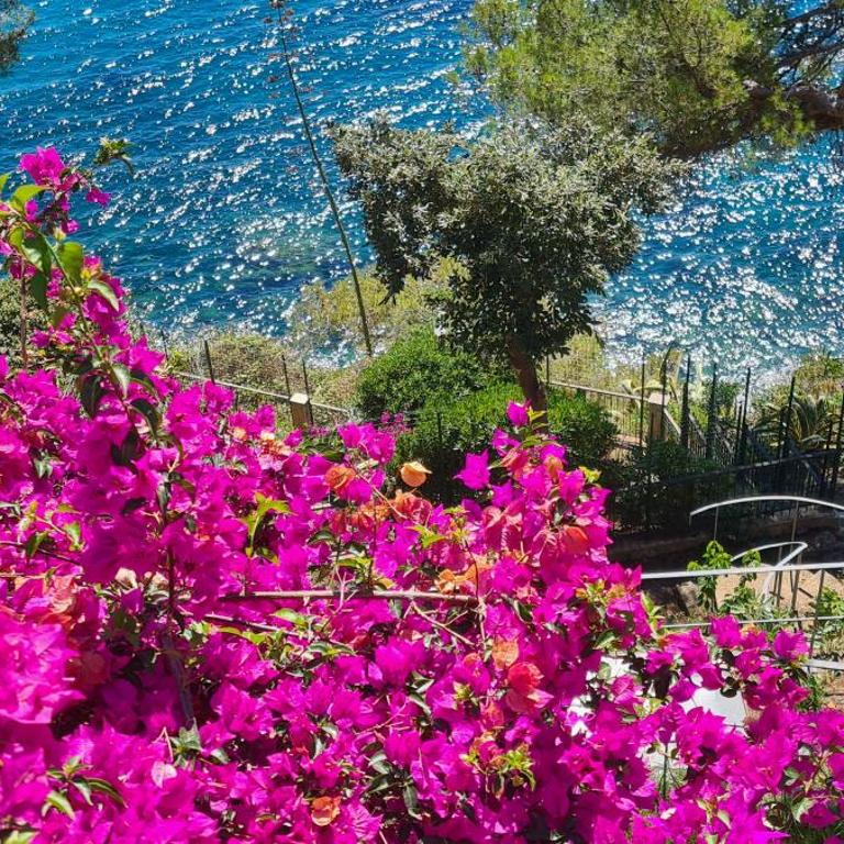 Villa Cokkinis fronte mare con ampio giardino - Villa con 3 Camere da Letto - 59