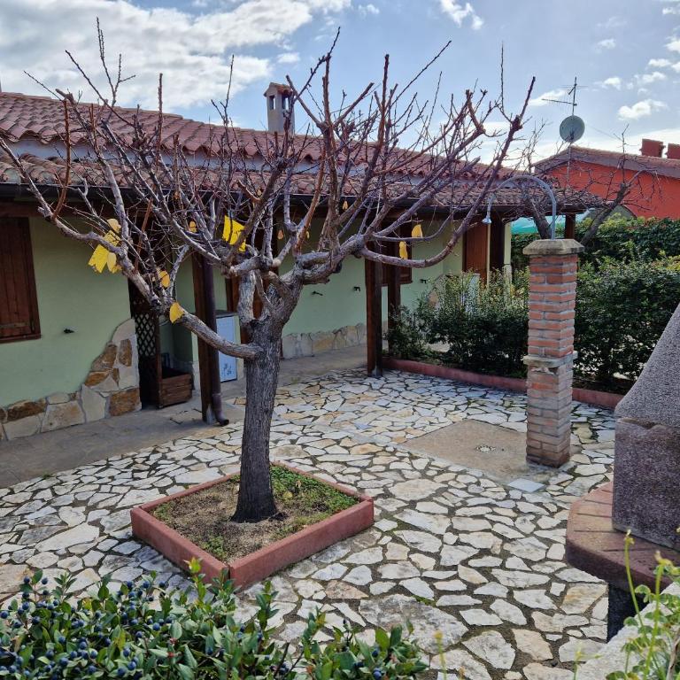 Villetta Mimosa - Casa a Schiera con 2 Camere da Letto - 11