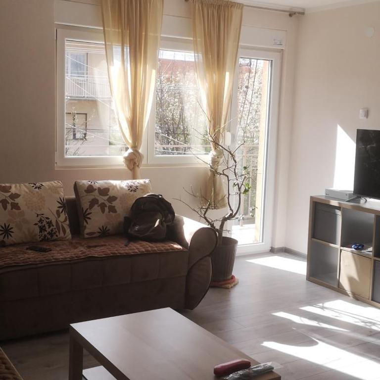 Sokobanja apartman Aviva - Apartman sa 2 Spavaće Sobe - 4