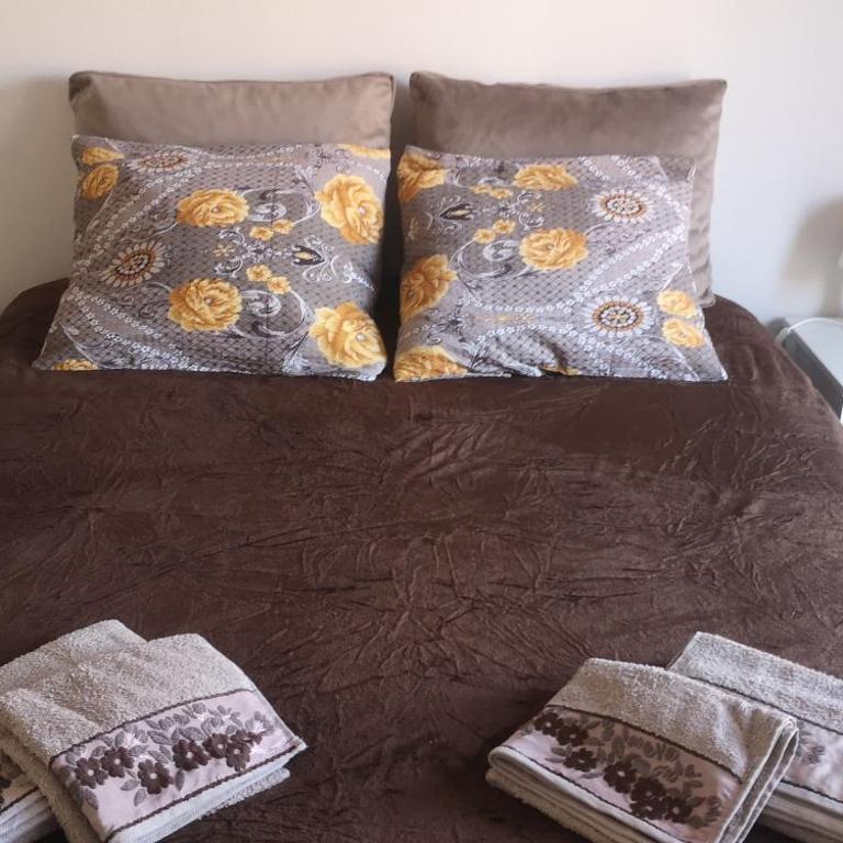 Sokobanja apartman Aviva - Apartman sa 2 Spavaće Sobe - 11