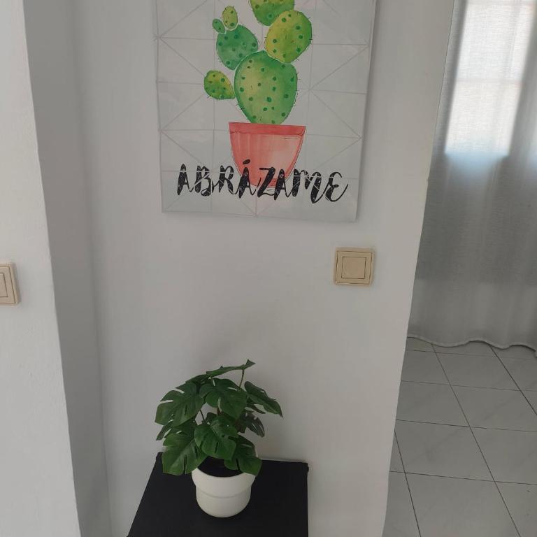 Casa Lila Montecastillo J9 - One-Bedroom Apartment - 32
