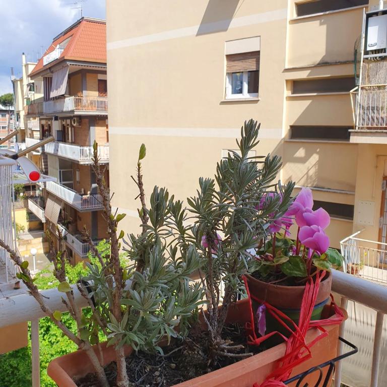 Appartamento luminoso Villa Pamphili - Standard Apartment - 2