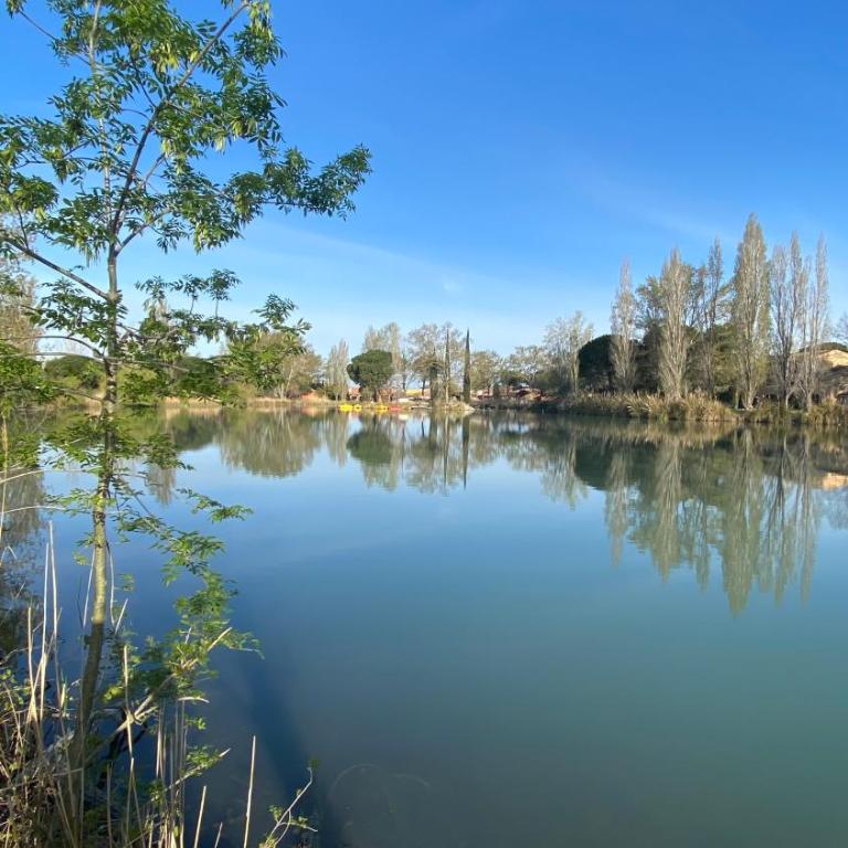 Joli Appartement 27m2 Oasis Provençale en village vacances en Camargue - Appartamento con 1 Camera da Letto - 34