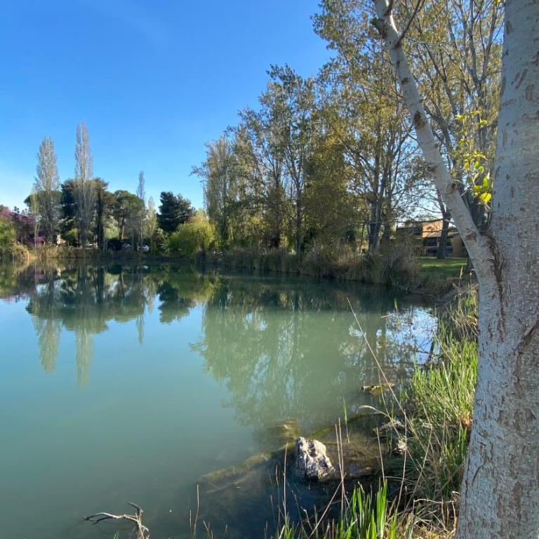 Joli Appartement 27m2 Oasis Provençale en village vacances en Camargue - Appartamento con 1 Camera da Letto - 31