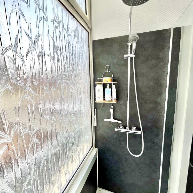 La Maison Faidherbe, Malo-les-bains - Appartement 1 Chambre - 23