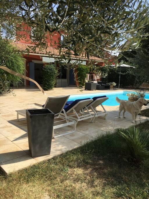 Cannes 5km Villa cosy - Villa - 27