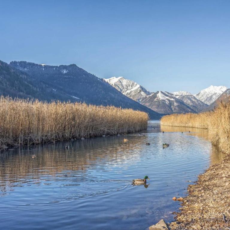Appartement Mountain Lake - Apartment - 50
