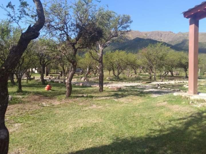 Tierra Nativa Cabañas de Montaña - Chalet de 2 dormitorios - 14