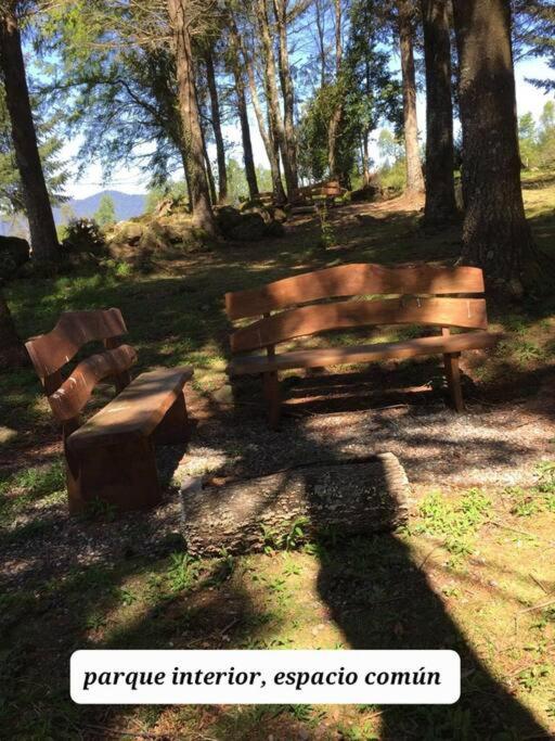 Agradable Cabaña inserta en bosque nativo - Casa de 4 dormitorios - 17