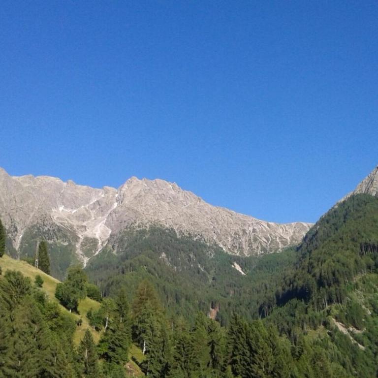 Pixnerhof Urlaub auf dem Bauernhof - Appartamento con 1 Camera da Letto - 10