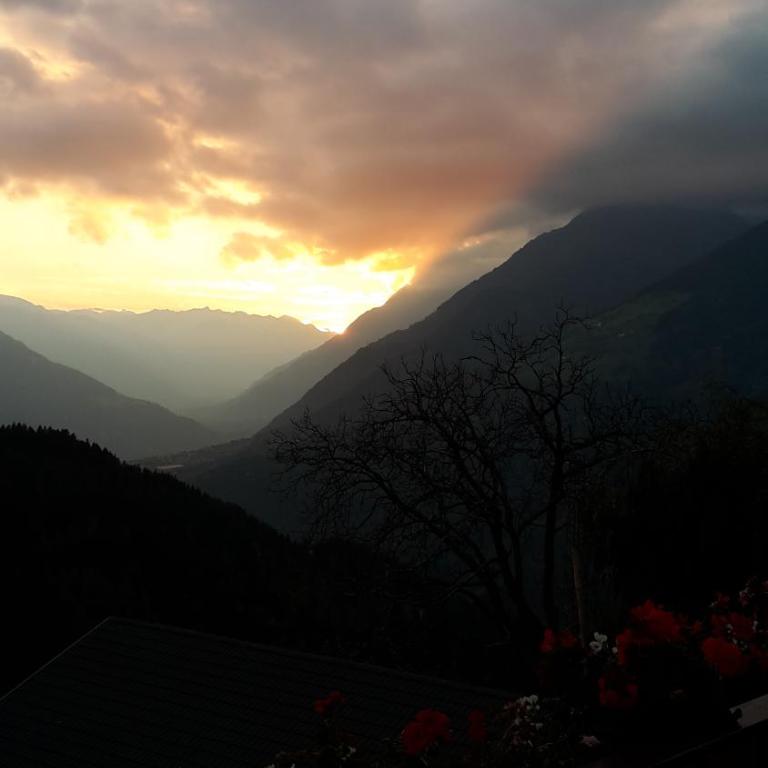 Pixnerhof Urlaub auf dem Bauernhof - Appartamento con 2 Camere da Letto - 10