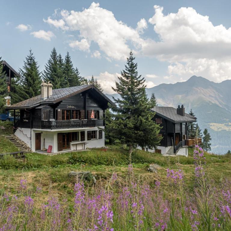 Jadwiga EG - Apartment mit Blick auf die Berge - 19