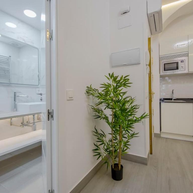 SUARA Apartamentos 2 - One-Bedroom Apartment - 17