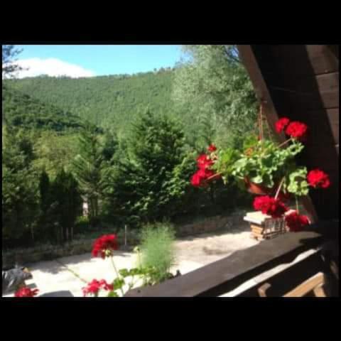 Apartmani Dada Kanjon Grmuša - Three-Bedroom House - 15