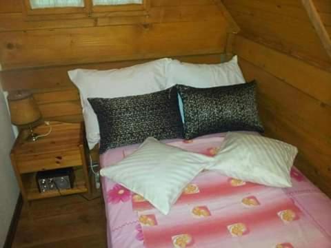 Apartmani Dada Kanjon Grmuša - Three-Bedroom House - 28