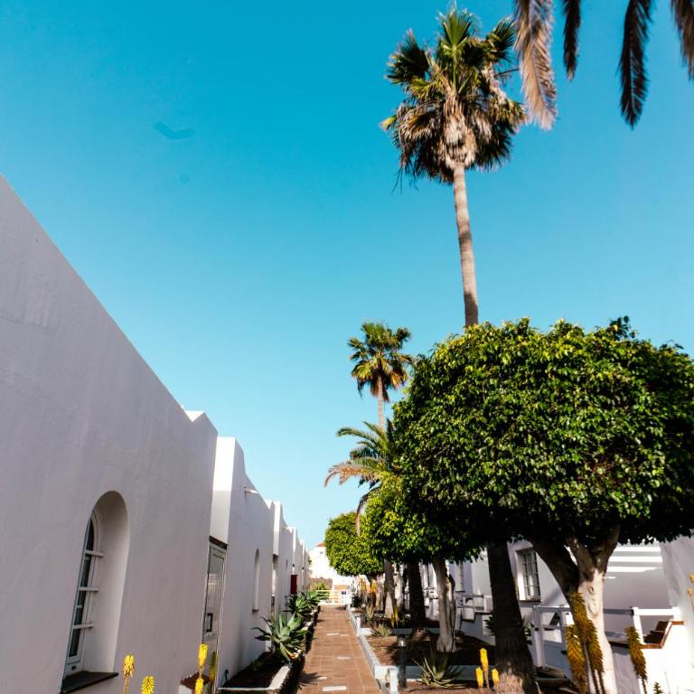 Las Casitas de Corralejo - Apartamento de 1 dormitorio - 3
