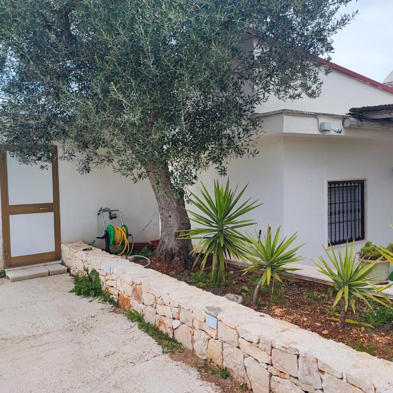 Trullo il Zippo in Zippitello - Casa con 3 Camere da Letto - 50