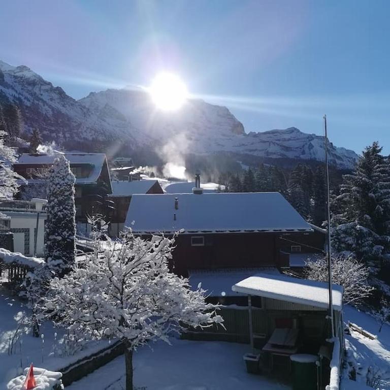 Apartment Chalet Im sunnigen Usblick - Apartment mit 2 Schlafzimmern - 18