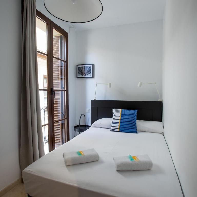 Mesones 54 - Superior Apartment - 12