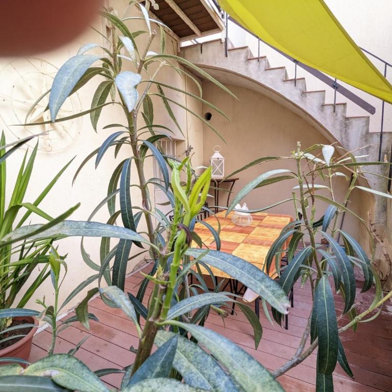 STUDIO CLIMATISE avec MEZZANINE au calme avec terrasse et parking idéalement situé pour tout faire à pied ! - Estudio con terraza - 21