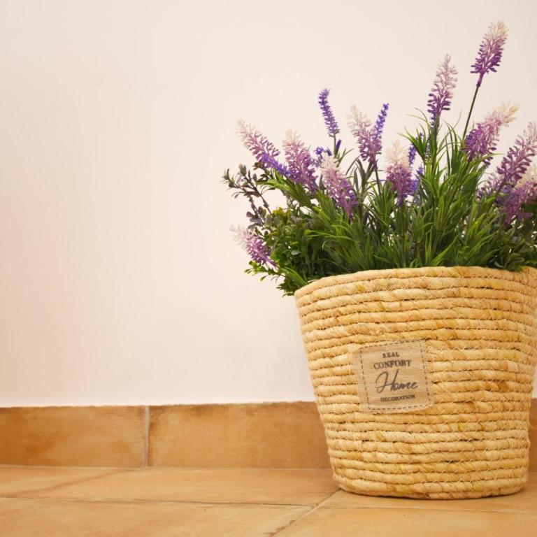 NORAY Home - Apartamento de 1 dormitorio - 14
