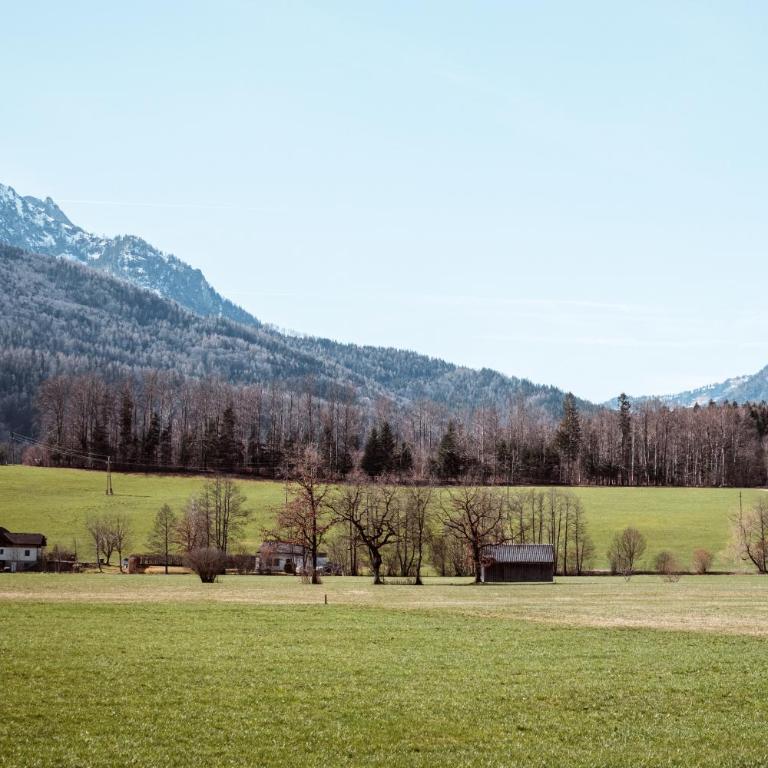 Hoamhaus - Apartment mit Blick auf die Berge - 20
