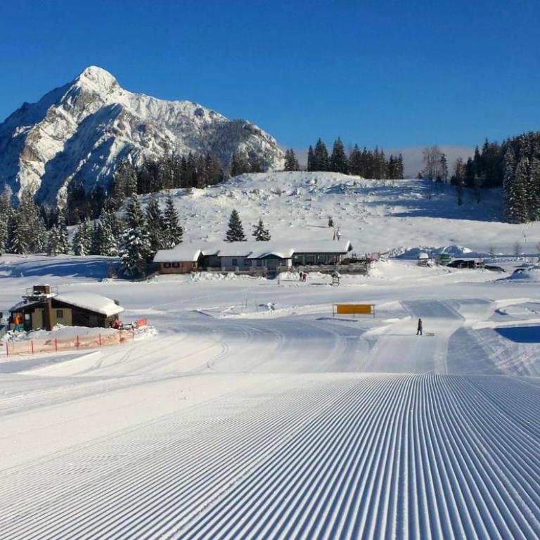 Wolfgangsee Ferienappartement „Bergliebe“ - One-Bedroom Apartment - 23