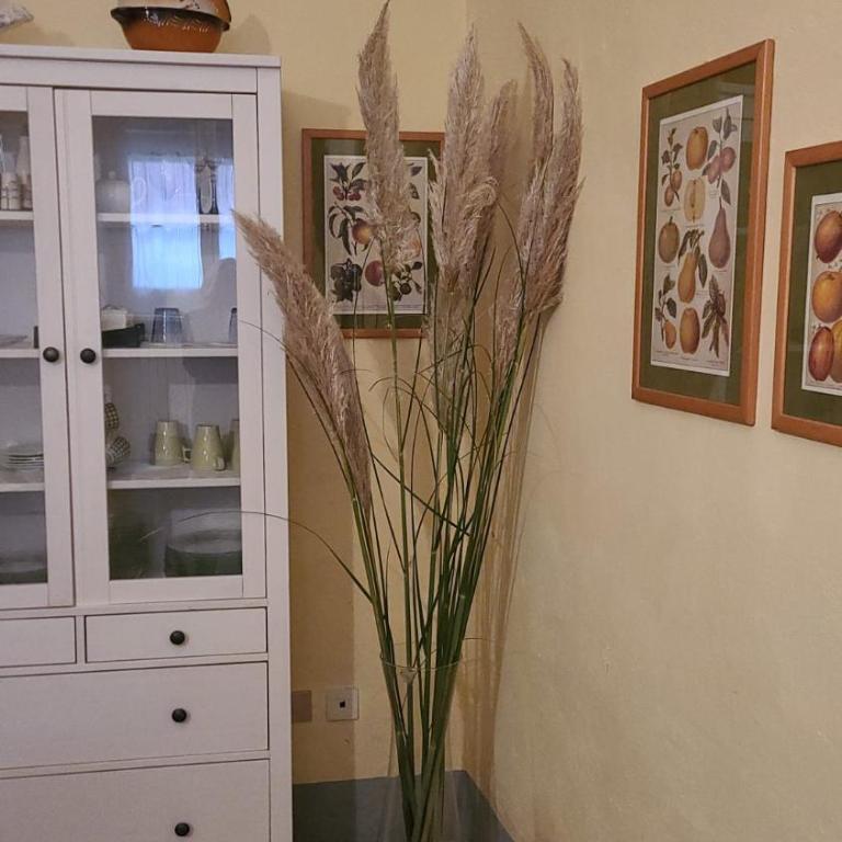Luisa in Palazzo Bianchi - One-Bedroom Apartment - 32