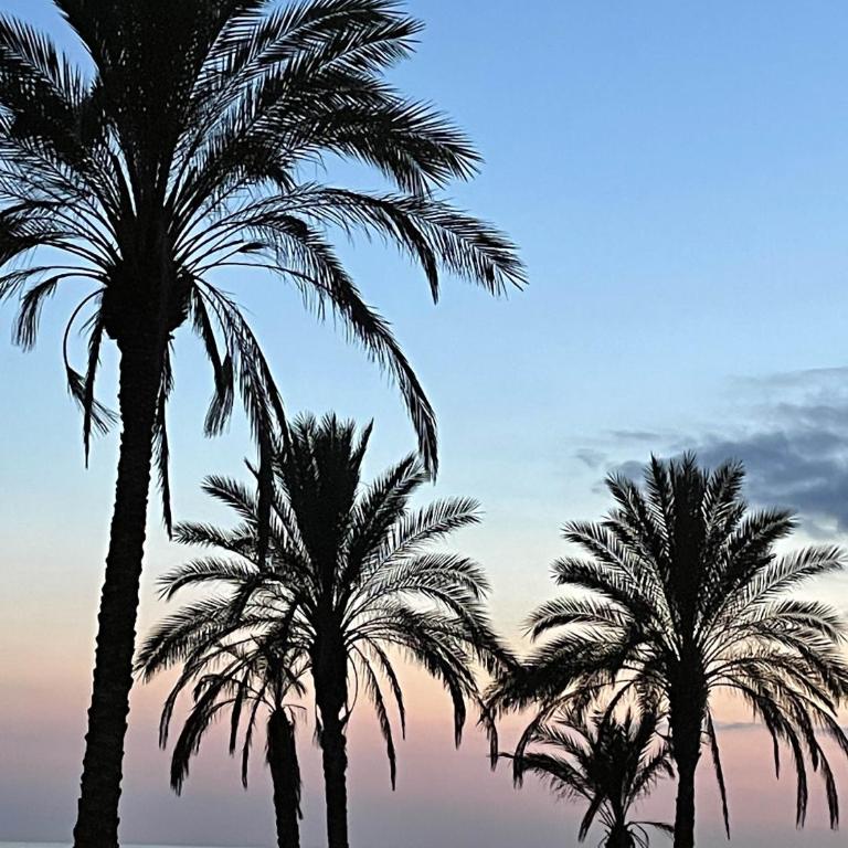 Lovely 2 bed apartment with views & communal pool - Apartment with Sea View - 24